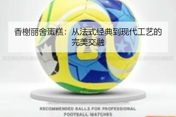 香榭丽舍蛋糕：从法式经典到现代工艺的完美交融